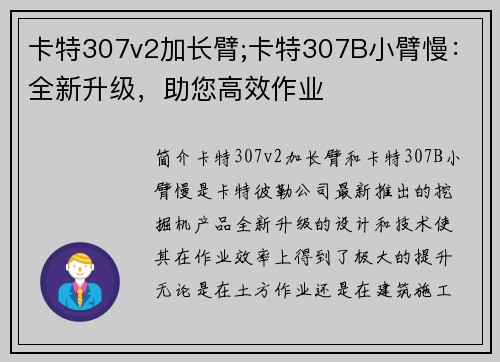 卡特307v2加长臂;卡特307B小臂慢：全新升级，助您高效作业