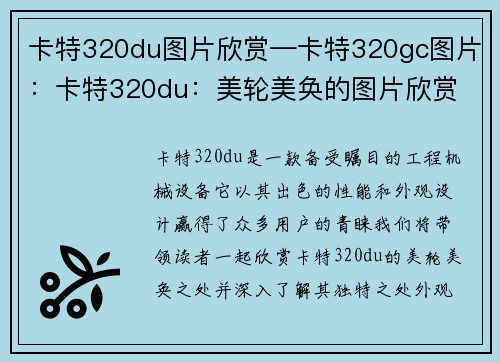 卡特320du图片欣赏—卡特320gc图片：卡特320du：美轮美奂的图片欣赏