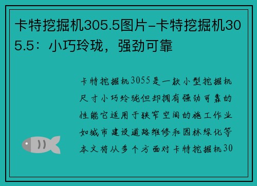 卡特挖掘机305.5图片-卡特挖掘机305.5：小巧玲珑，强劲可靠